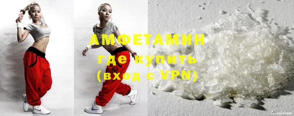 ГАЛЛЮЦИНОГЕННЫЕ ГРИБЫ Аркадак