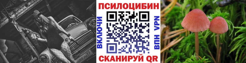 купить наркоту  Инта  Галлюциногенные грибы GOLDEN TEACHER 